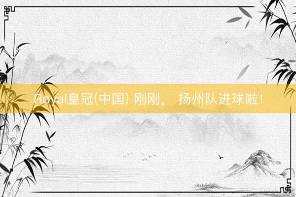 Royal皇冠(中国) 刚刚， 扬州队进球啦！