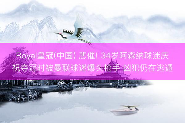 Royal皇冠(中国) 悲催! 34岁阿森纳球迷庆祝夺冠时被曼联球迷爆头枪手 凶犯仍在逃遁