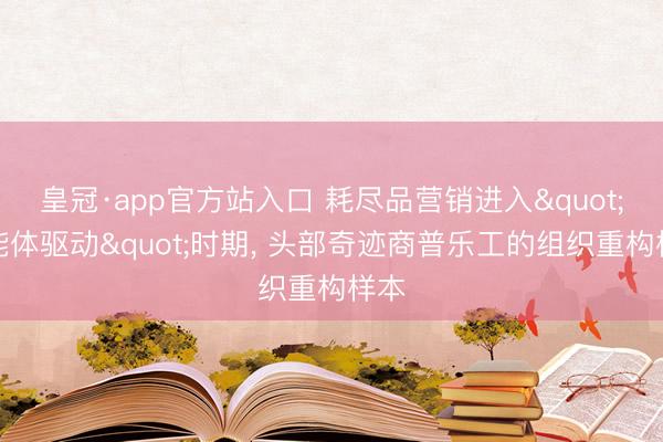 皇冠·app官方站入口 耗尽品营销进入"智能体驱动"时期， 头部奇迹商普乐工的组织重构样本