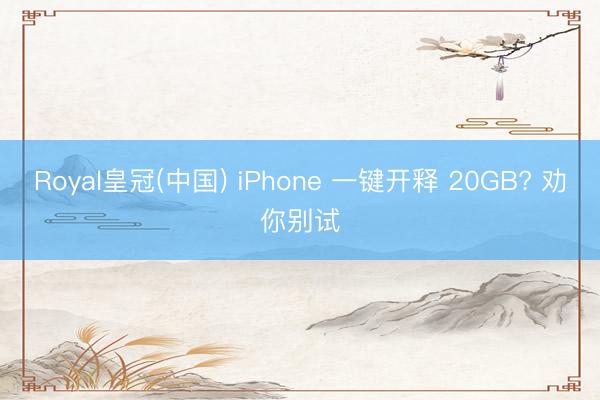 Royal皇冠(中国) iPhone 一键开释 20GB? 劝你别试