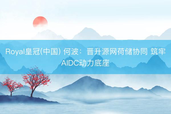 Royal皇冠(中国) 何波：晋升源网荷储协同 筑牢AIDC动力底座