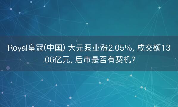 Royal皇冠(中国) 大元泵业涨2.05%， 成交额13.06亿元， 后市是否有契机?