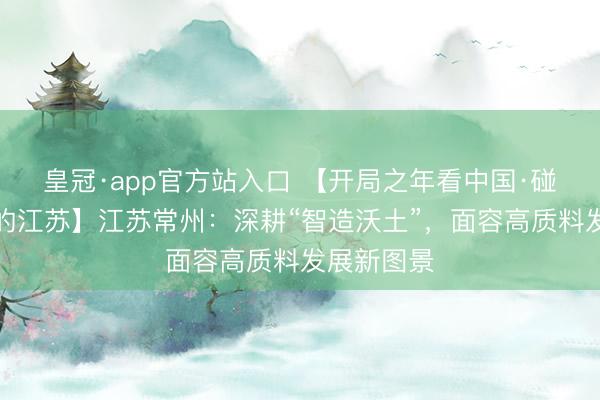 皇冠·app官方站入口 【开局之年看中国·碰见不相似的江苏】江苏常州：深耕“智造沃土”，面容高质料发展新图景
