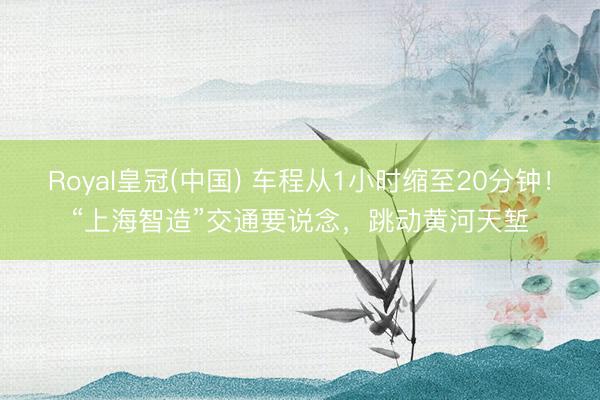Royal皇冠(中国) 车程从1小时缩至20分钟!“上海智造”交通要说念,跳动黄河天堑